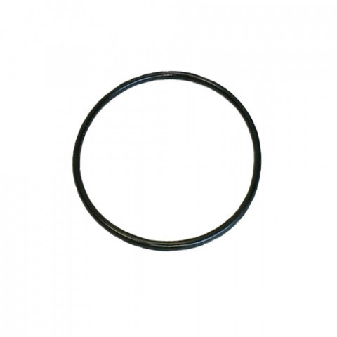 Кольцо уплотнительное для колбы Посейдон